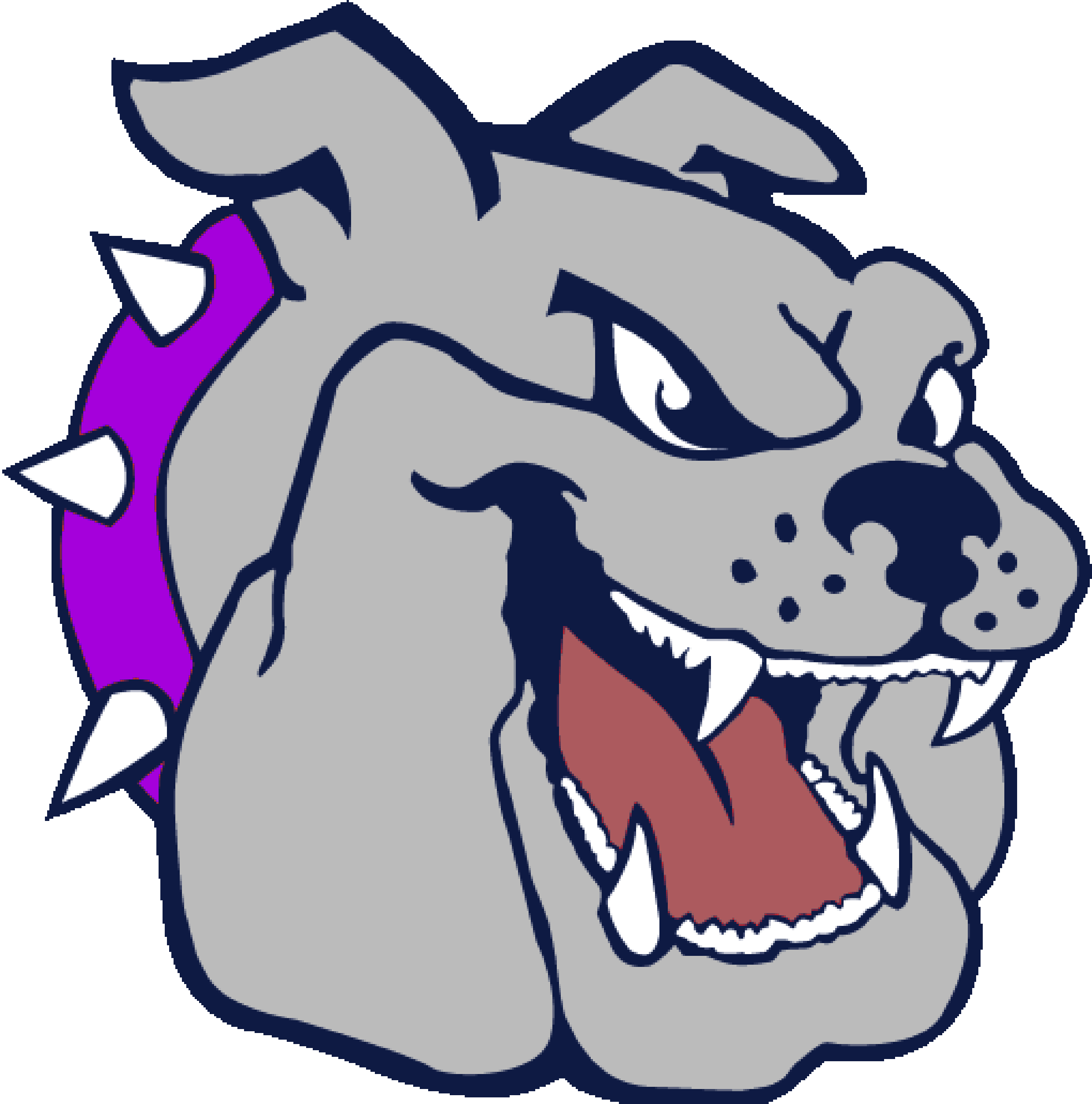 Bulldogs Mascot Purple Collar Gif