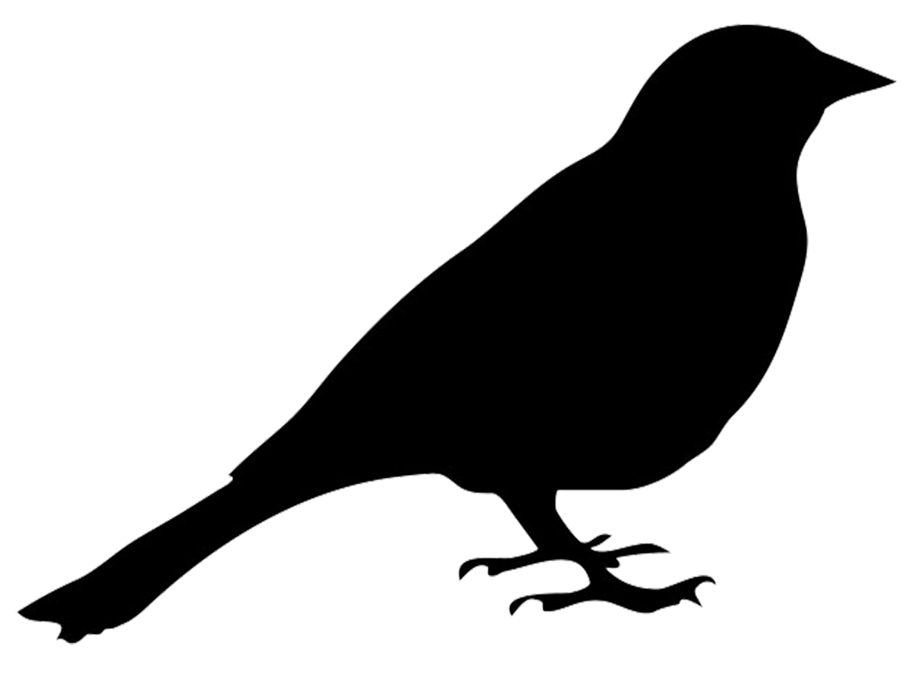 bullfinch silhouette, silhoue - Bird Silhouette Clip Art