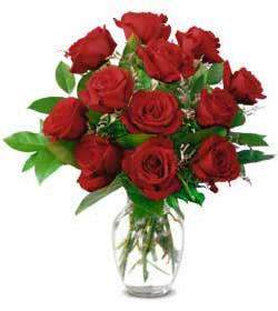 ... bunch of red roses ... - Roses Clipart