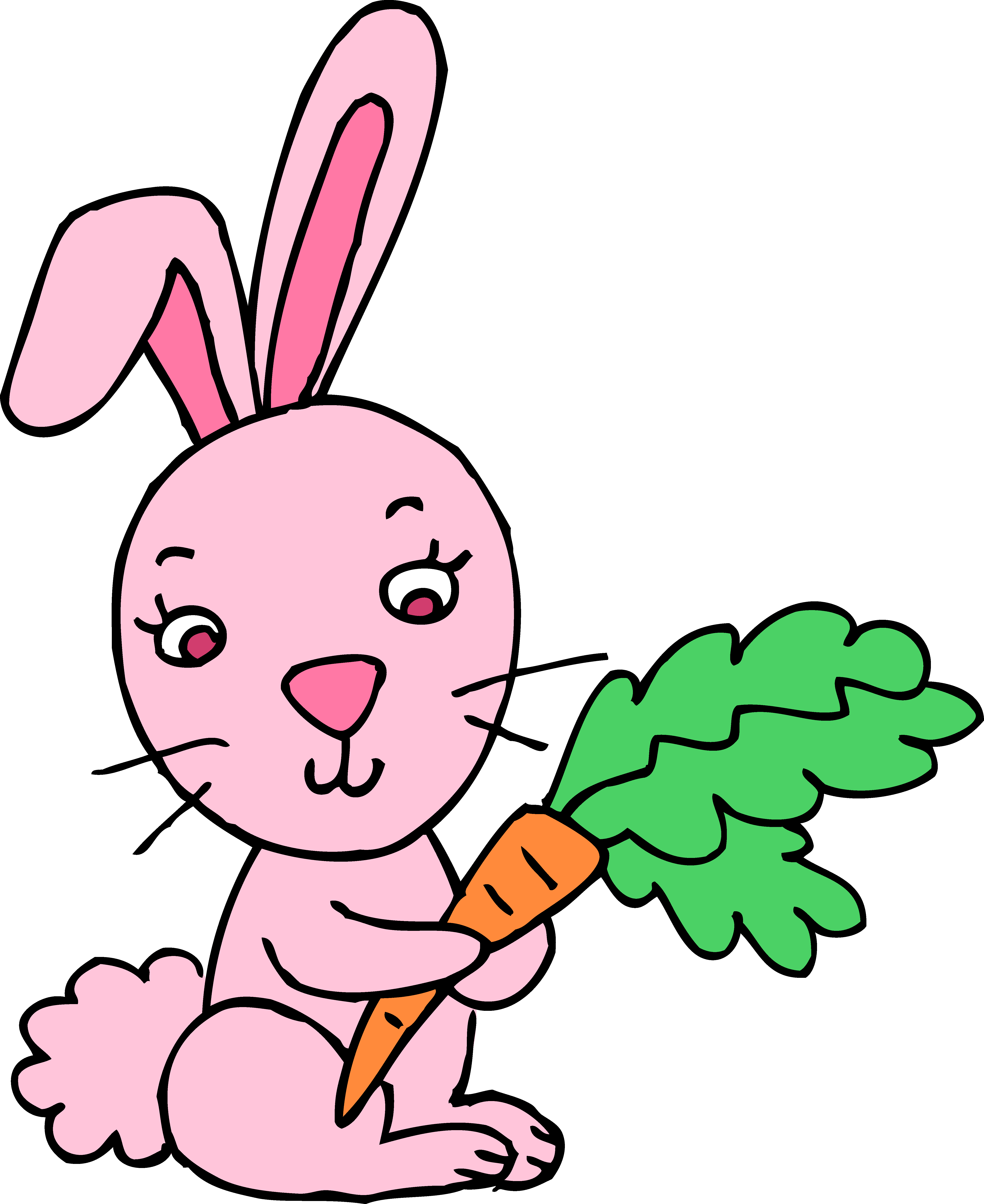 Bunny Clipart Image #8830