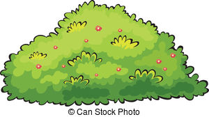 Green bush - Illustration of a green bush on a white.