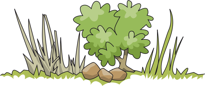 Shrub clipart plant flower #3 - Bushes Clipart