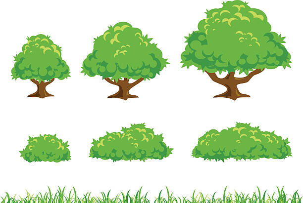 Simple Tree and Bush Illustration vector art illustration