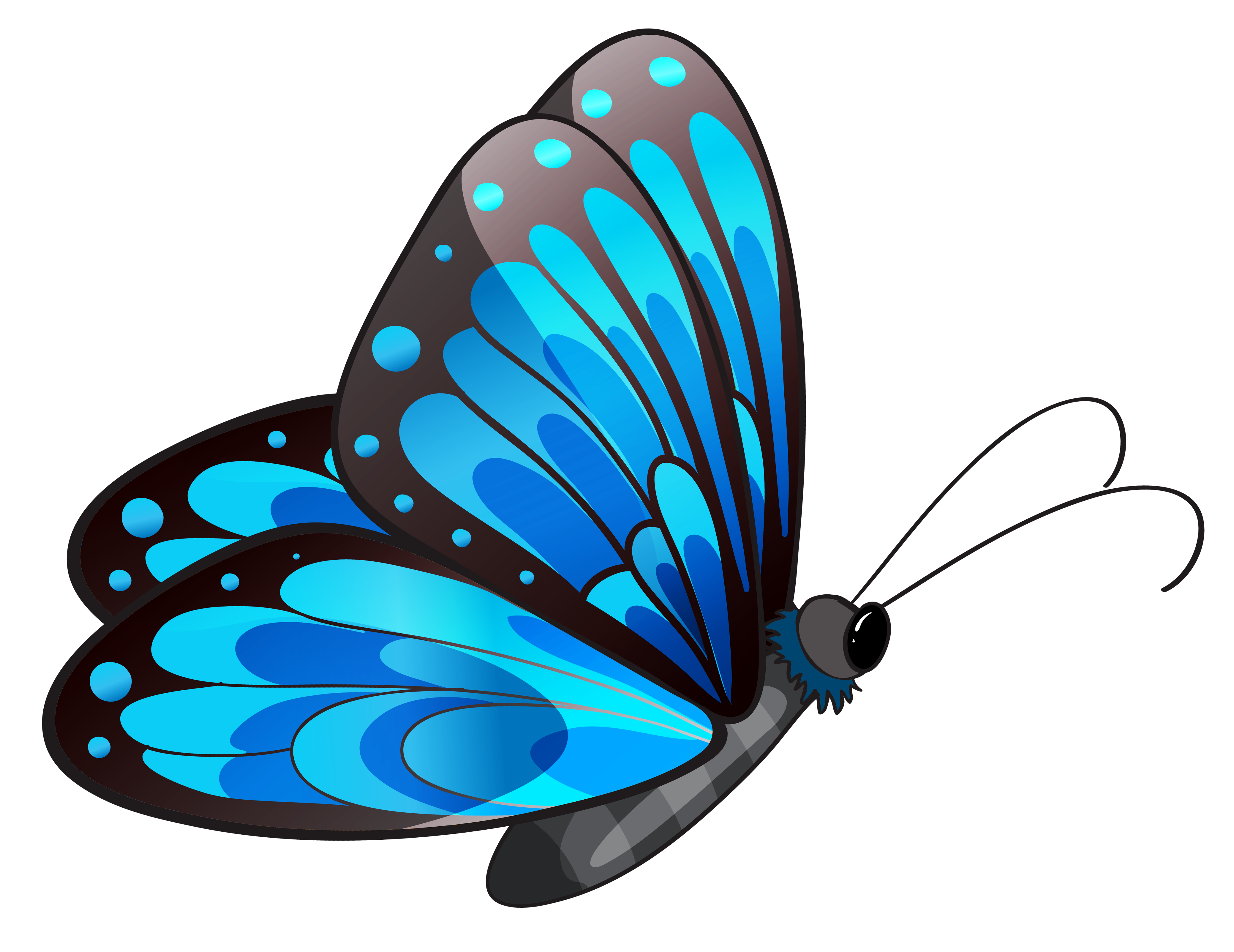 FREE Butterfly Clip Art 14. 1