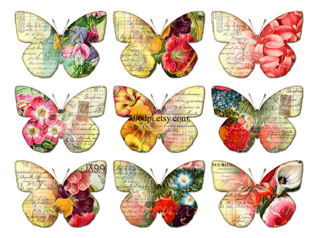 butterflies clipart clip art .