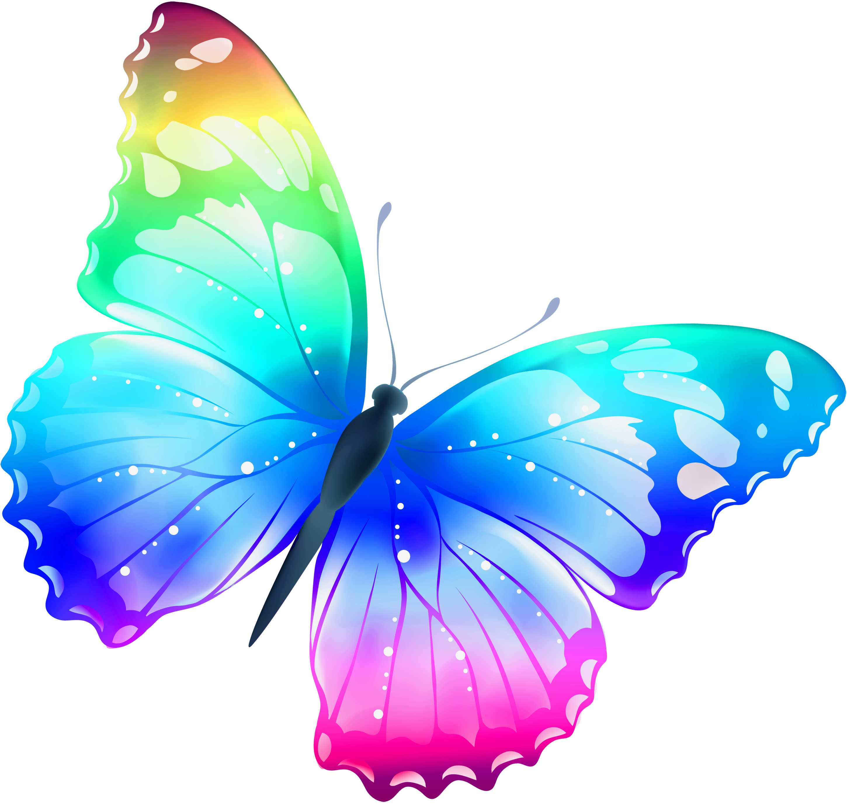 Domain Butterfly Clip Art ..