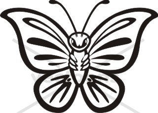 butterfly clipart black and w