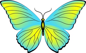 butterfly clipart - Butterflies Clipart