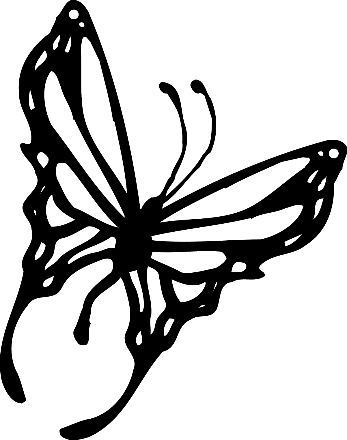 Butterfly black and white . - Black And White Butterfly Clipart