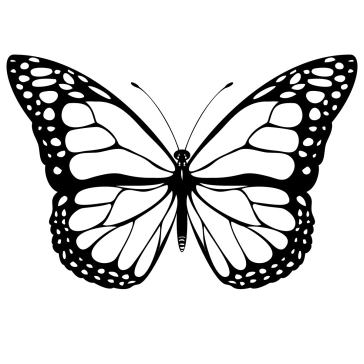 Butterfly Clip Art Black And  - Butterfly Clipart Free