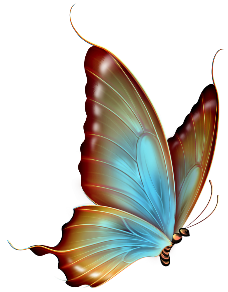 Butterfly Clip Art Free Clipa - Png Clip Art