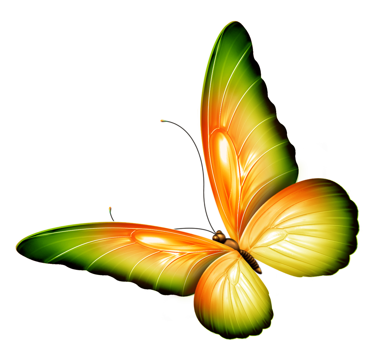 Butterfly Clip Art with