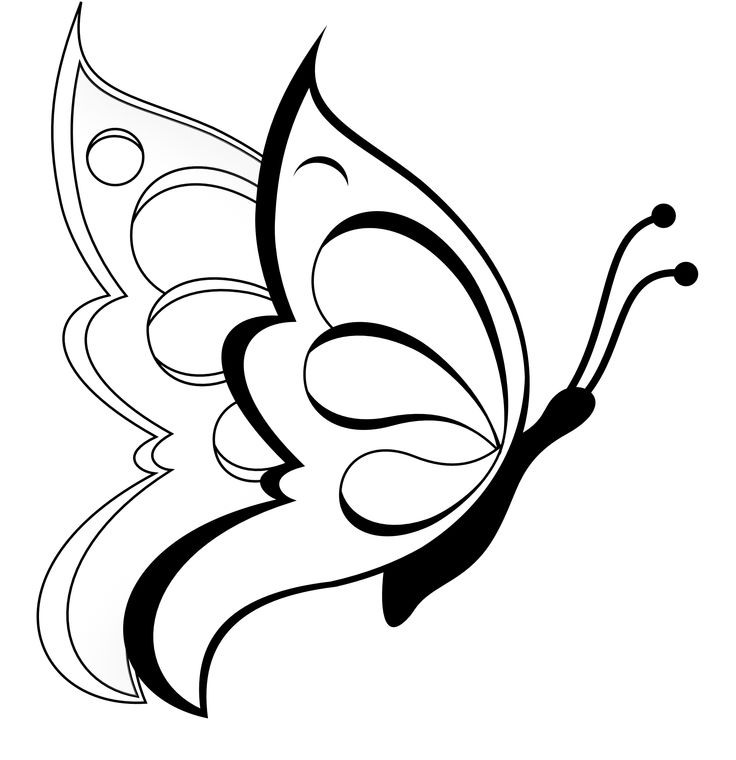 Butterfly Clipart Black And White #15173
