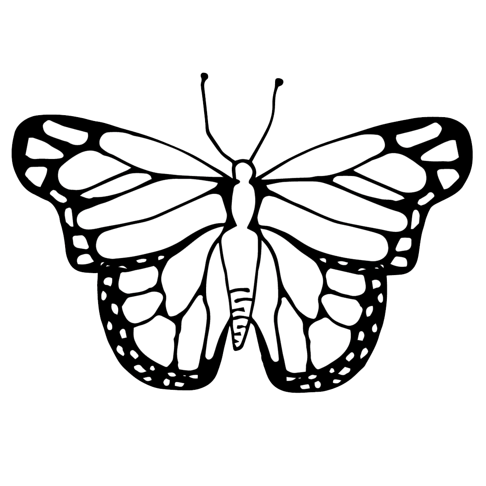 Life Cycle of a Butterfly Clipart