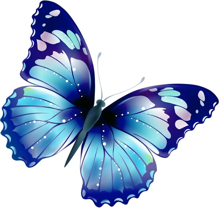 butterfly clipart flying
