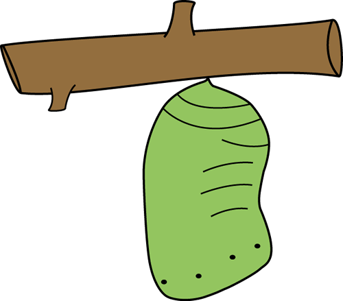 Butterfly Cocoon Clipart #1