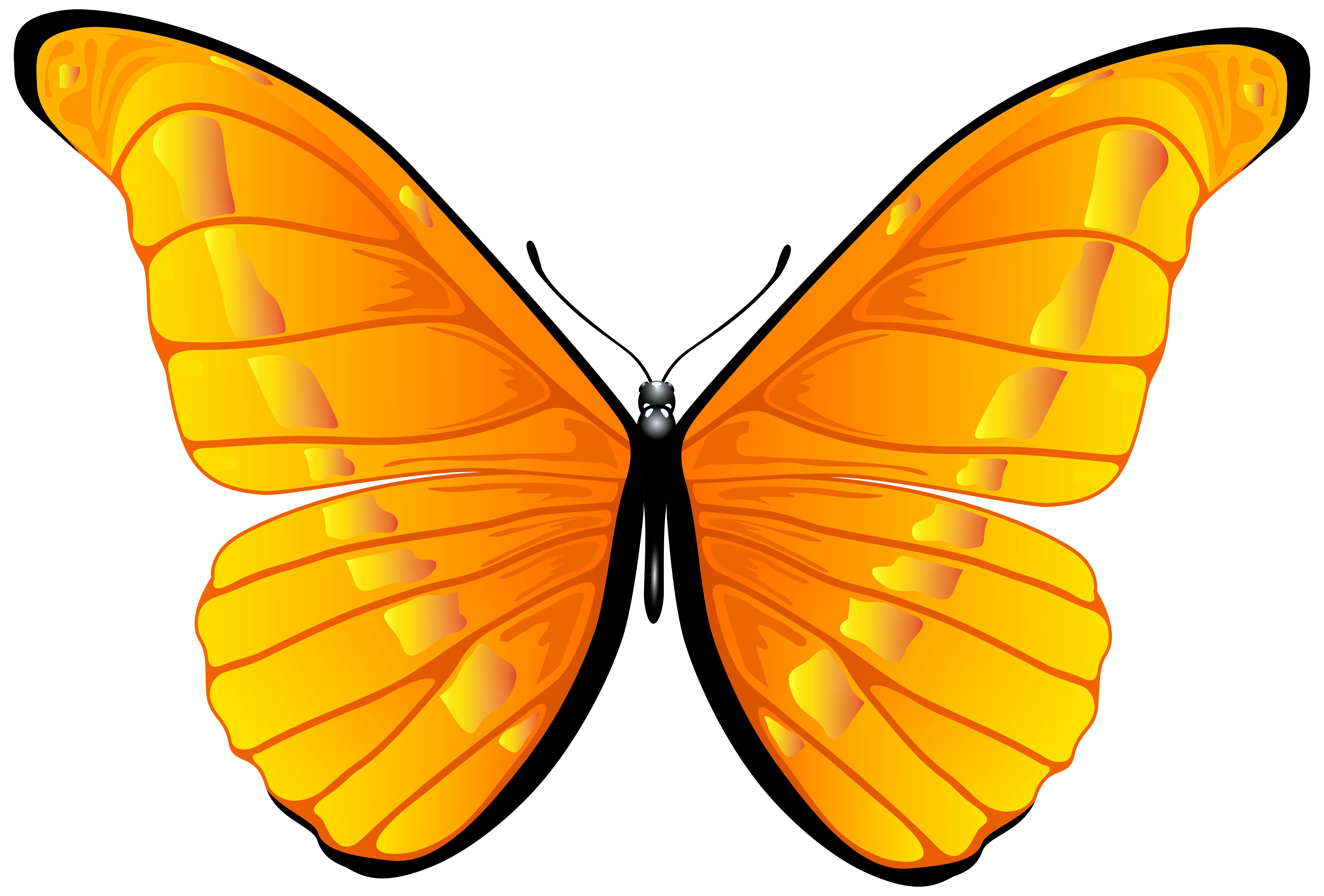 Butterfly In Clipart. 229629d92a7cbdeb313ba4554ca7c4 .