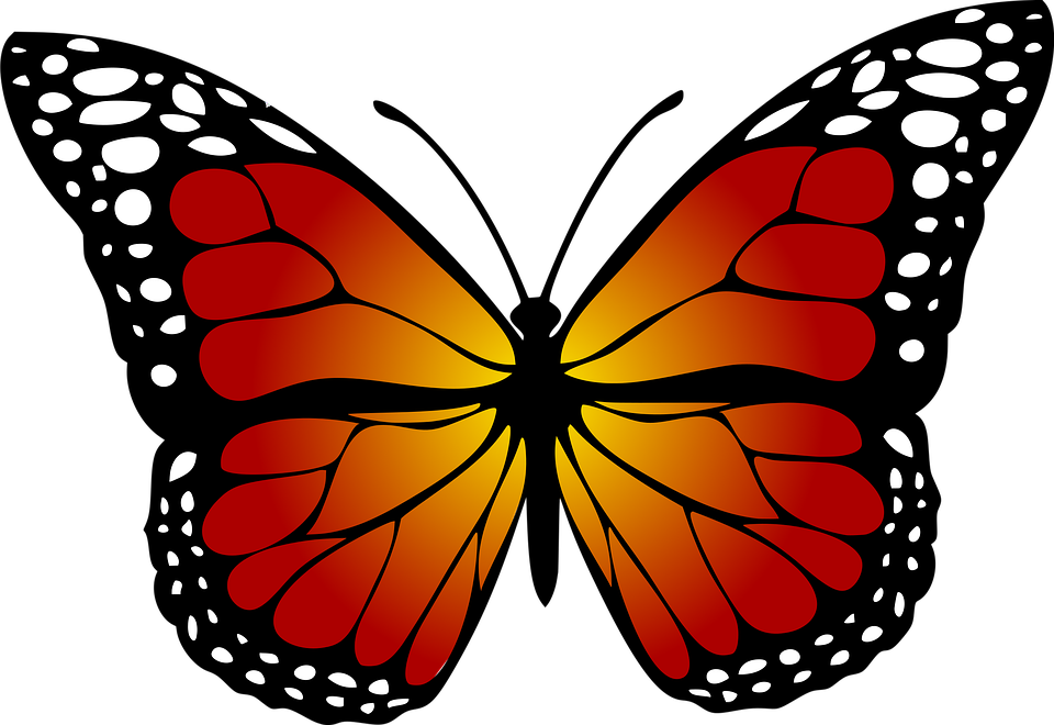 Butterfly, Monarch, Abstract, Artistic