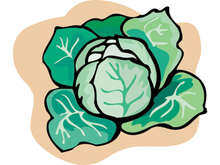 Cabbage clipart: Cabbage. - Cabbage Clipart