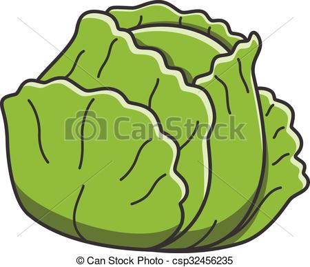 Cabbage clipart: Cabbage.