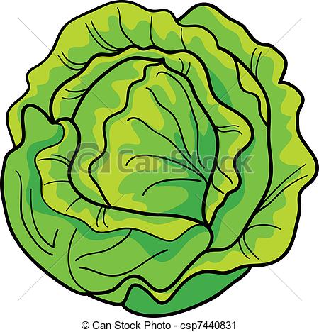 cabbage - csp7440831