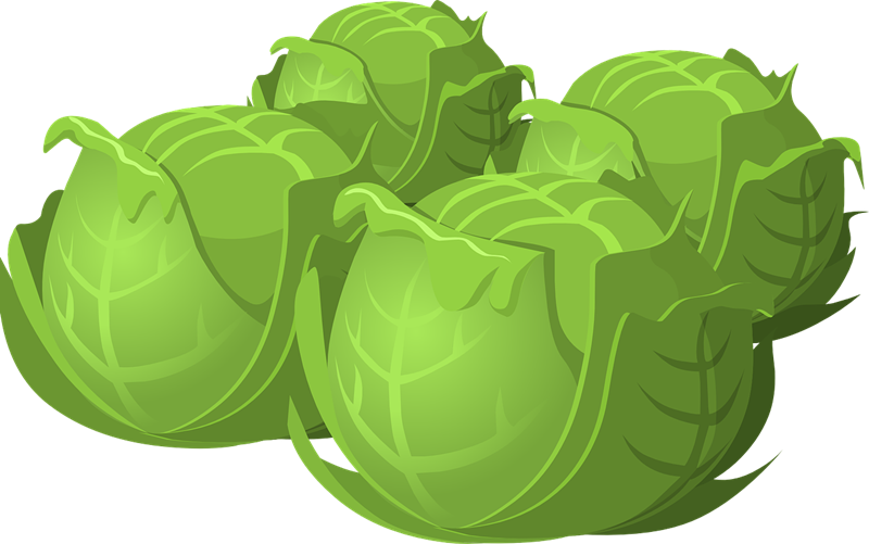 Free Fresh Cabbages Clip Art - Cabbage Clipart