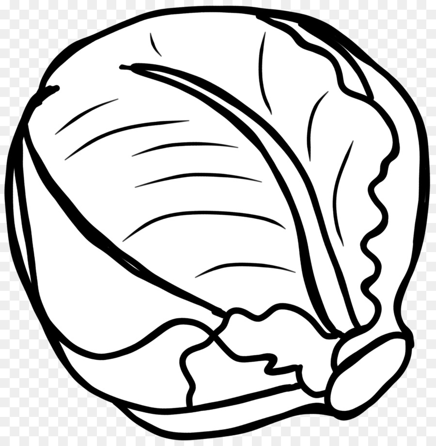 Red cabbage Vegetable Black and white Clip art - cabbage