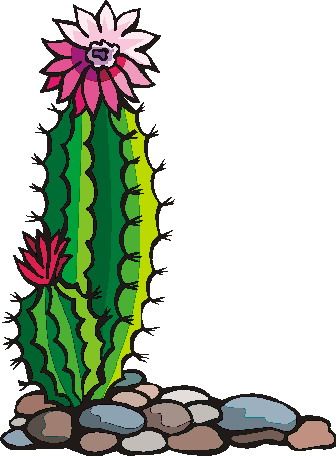Cactus Clip Art - Bing Imágenes