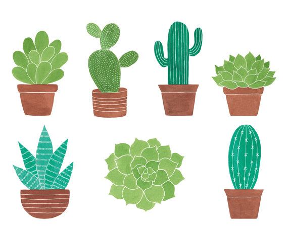 Flat cactus pack with nature 