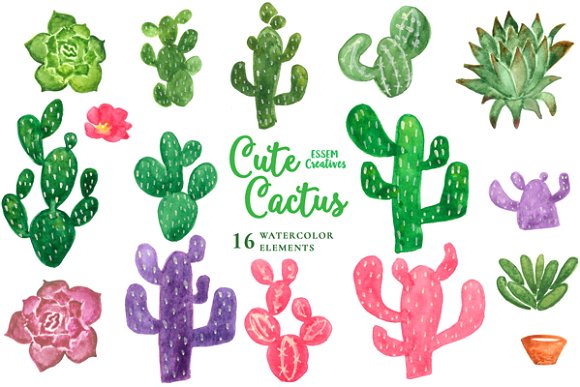 Cactus Clipart-Clipartlook.com-580
