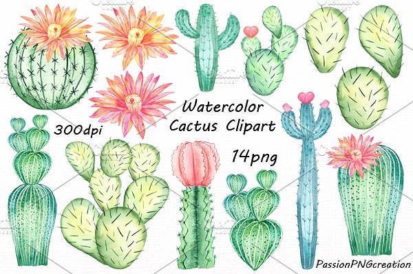 Cactus Clipart-Clipartlook.com-600
