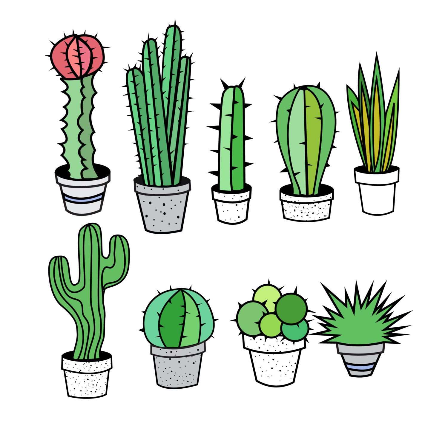 Cactus Clipart Set, Hand Draw