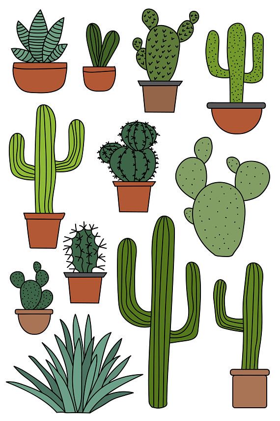 Cactus Clipart Set, Hand Draw - Cactus Clipart