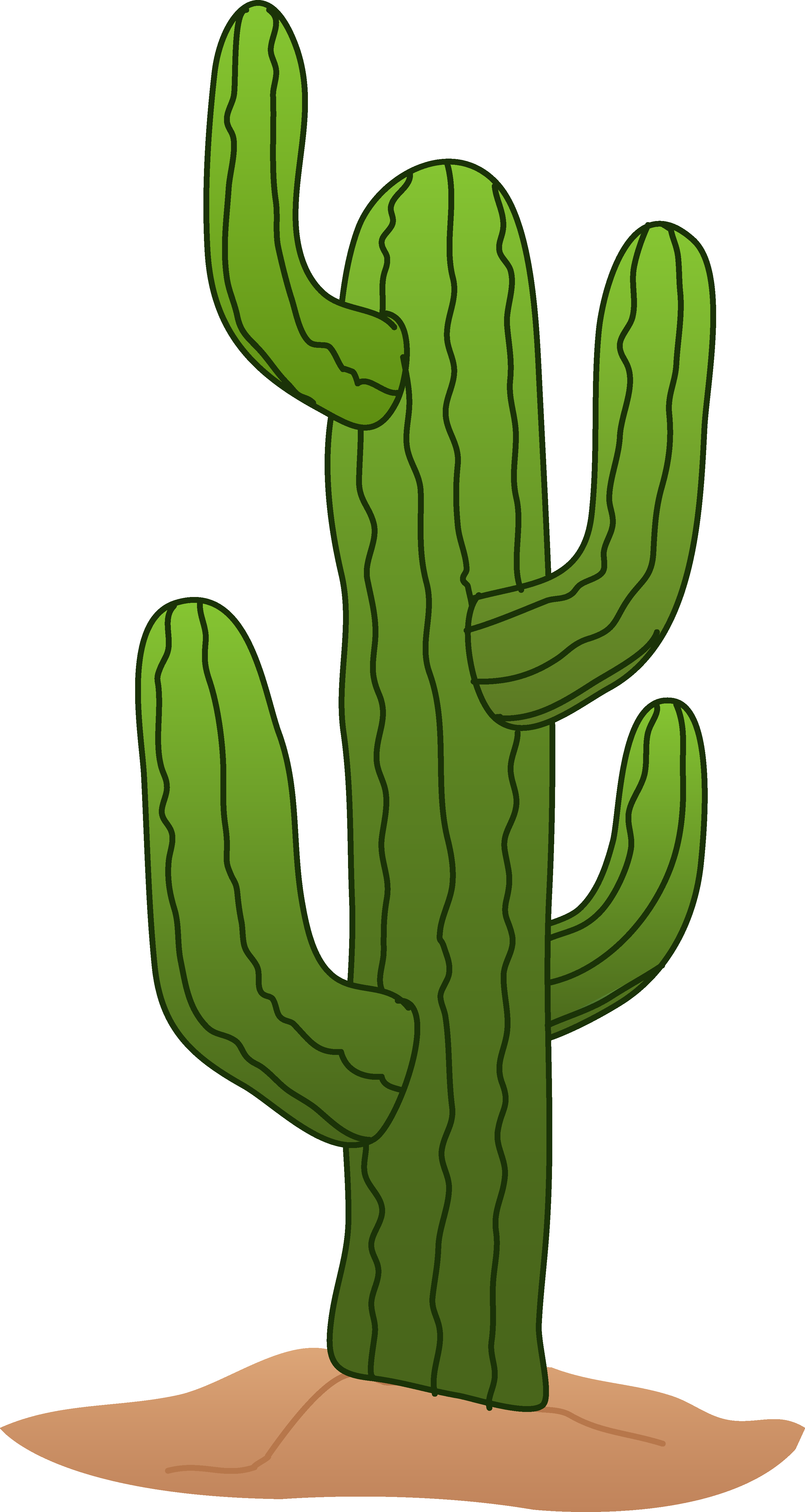 cactus clipart. Cactus Image Free