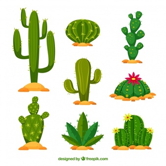 Cactus Clipart, Cactus Clip A