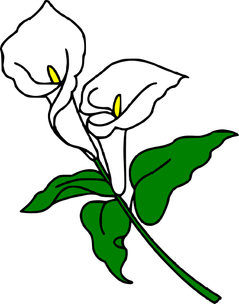 White Calla Lily Clip Art