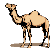Camel Clip Art