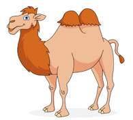 Free Camel Clipart