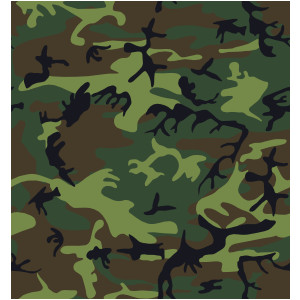 Camouflage Pattern clip art .