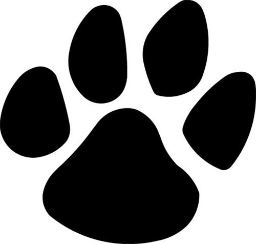 Can T Find The Perfect Clip A - Panther Paw Clipart