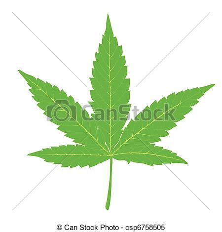 ... Cannabis leaf. Fully editable by layers, vector (eps8).
