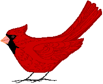 Cardinal Outline clip art .