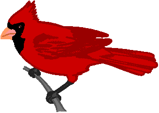 Cardinal Clipart