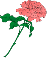 Carnation Clipart | Free Download Clip Art | Free Clip Art | on .