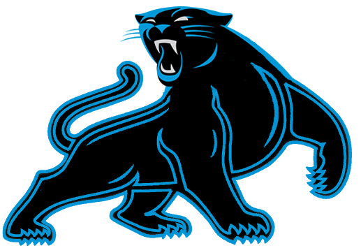 Carolina Panthers New 2012 Custom Full Body Panther Team Logo Graphic