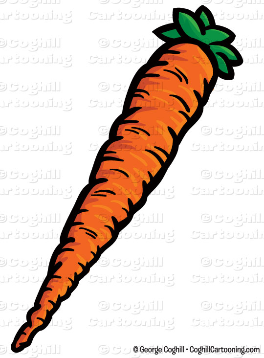 Carrot Clipart PNG Image