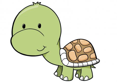 Cartoon Baby Turtle - Clipart library