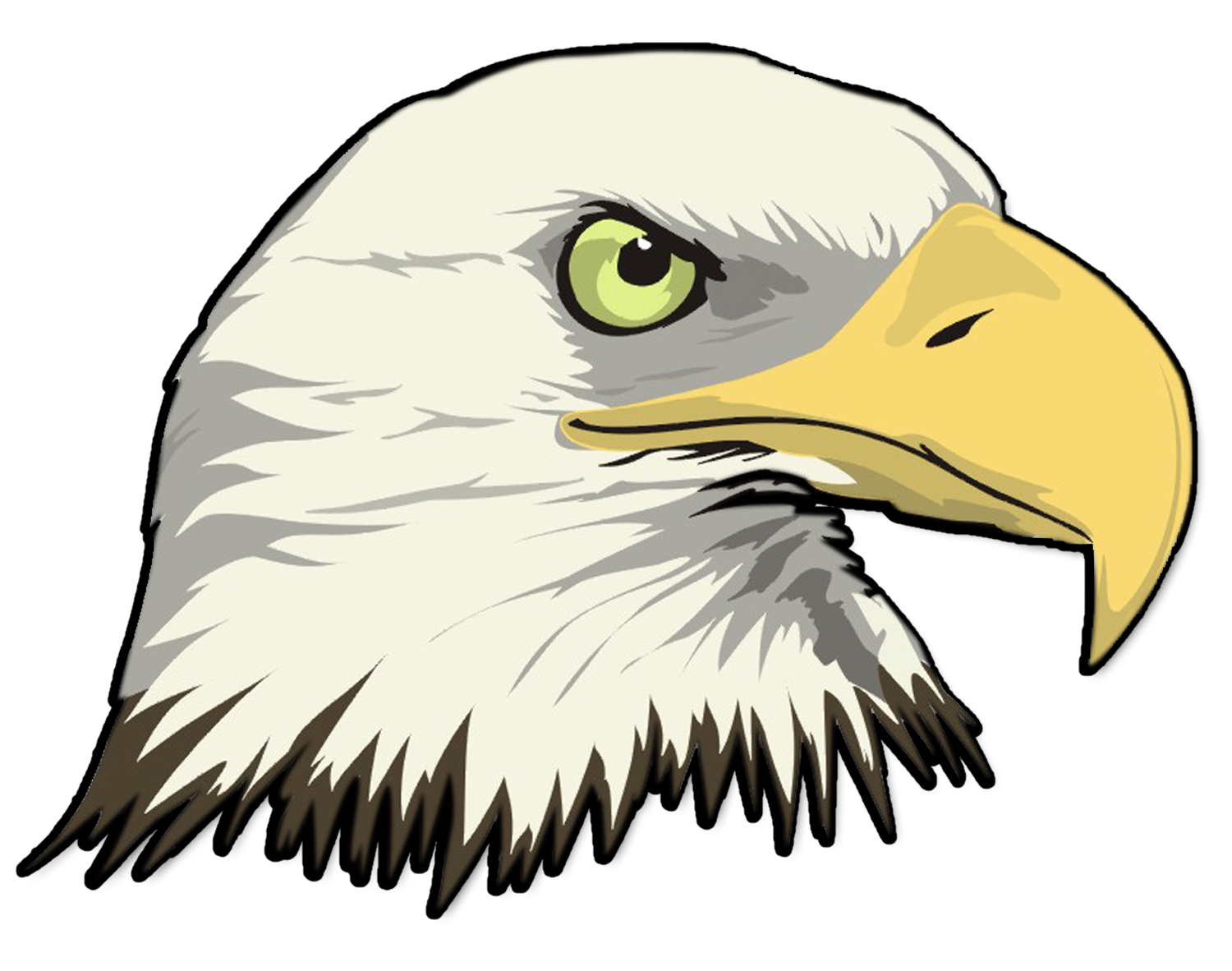 Cartoon Bald Eagle Head .