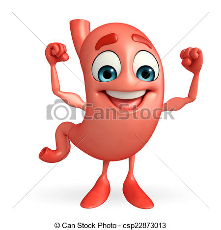 Cartoon Character of stomach with bodybuilding - csp22873013