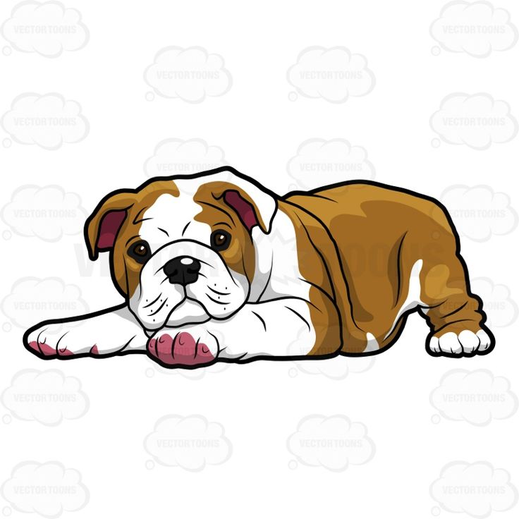Cartoon Clipart: Wrinkly English Bulldog Puppy Lying Down